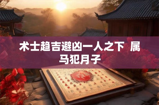 术士趋吉避凶一人之下 属马犯月子 术士趋吉避凶一人之下 属马犯月子