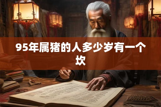 95年属猪的人多少岁有一个坎 95年属猪的人多少岁有一个坎