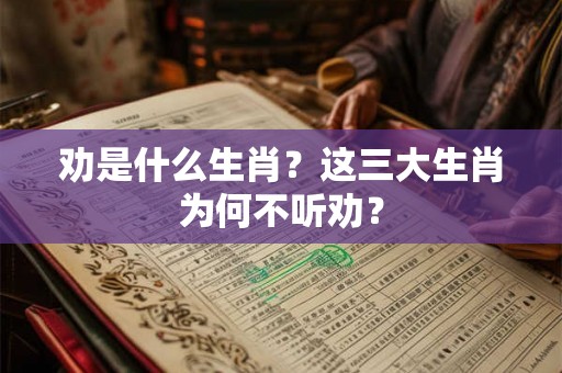 劝是什么生肖？这三大生肖为何不听劝？
