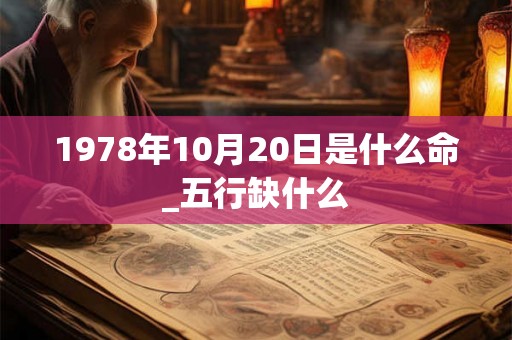 1978年10月20日是什么命_五行缺什么
