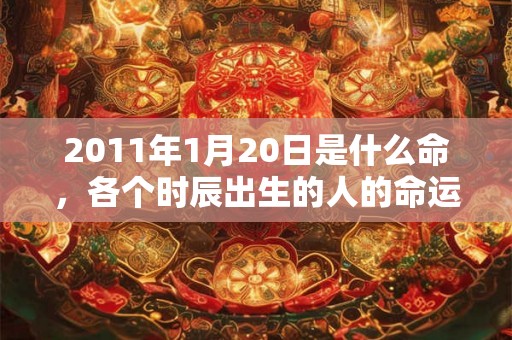 2011年1月20日是什么命，各个时辰出生的人的命运