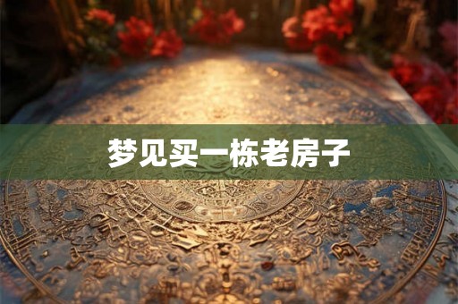 梦见买一栋老房子