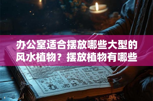 办公室适合摆放哪些大型的风水植物？摆放植物有哪些忌讳？