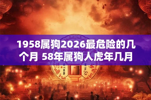 1958属狗2026最危险的几个月 58年属狗人虎年几月危险 1958属狗2026最危险的几个月 58年属狗人虎年几月危险
