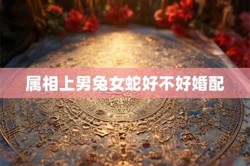 属相上男兔女蛇好不好婚配 属相上男兔女蛇好不好婚配