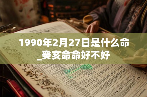 1990年2月27日是什么命_癸亥命命好不好 1990年2月27日是什么命_癸亥命命好不好
