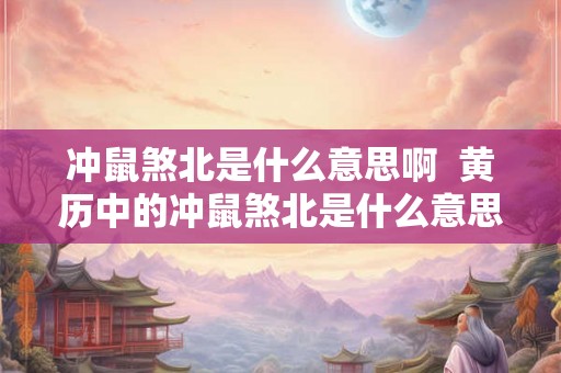 冲鼠煞北是什么意思啊  黄历中的冲鼠煞北是什么意思
