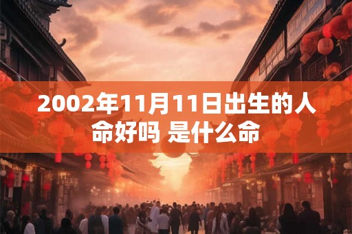 2002年11月11日出生的人命好吗 是什么命 2002年11月11日出生的人命好吗 是什么命