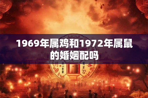 1969年属鸡和1972年属鼠的婚姻配吗