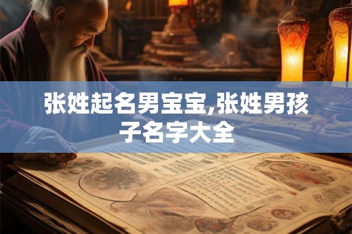 张姓起名男宝宝,张姓男孩子名字大全
