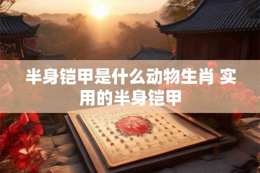 半身铠甲是什么动物生肖 实用的半身铠甲