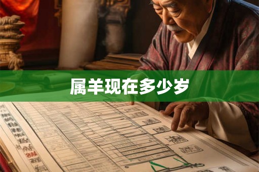 属羊现在多少岁