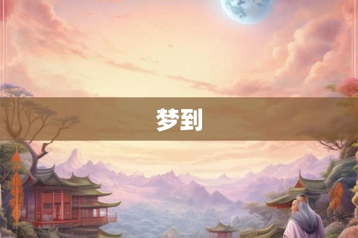梦到