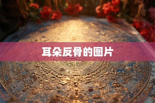 耳朵反骨的图片