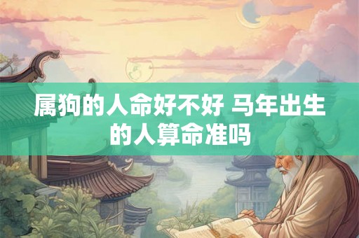 属狗的人命好不好 马年出生的人算命准吗