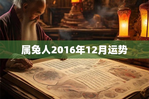 属兔人2016年12月运势 属兔人2016年12月运势