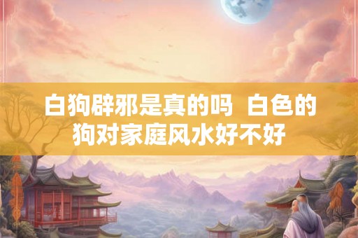 白狗辟邪是真的吗 白色的狗对家庭风水好不好 白狗辟邪是真的吗 白色的狗对家庭风水好不好