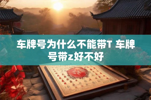 车牌号为什么不能带T 车牌号带z好不好