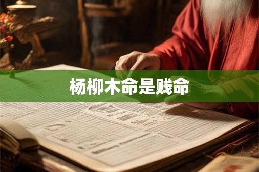 杨柳木命是贱命