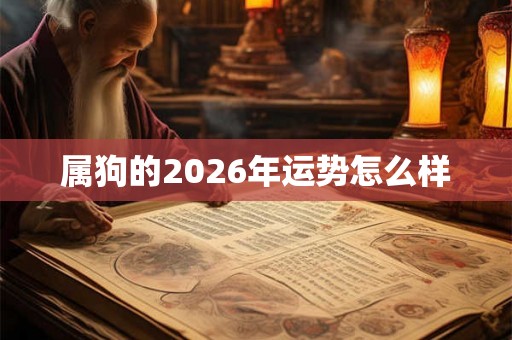 属狗的2026年运势怎么样 属狗的2026年运势怎么样