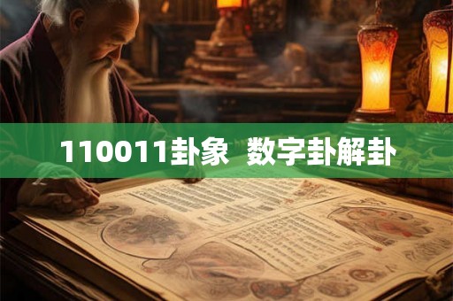 110011卦象  数字卦解卦