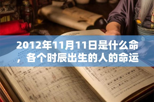 2012年11月11日是什么命，各个时辰出生的人的命运