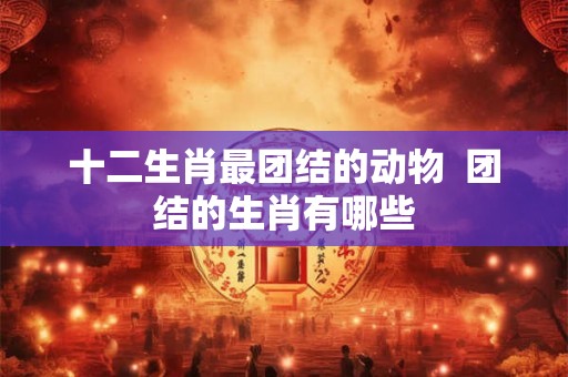 十二生肖最团结的动物  团结的生肖有哪些