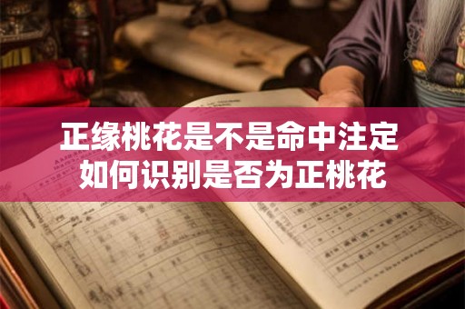 正缘桃花是不是命中注定 如何识别是否为正桃花