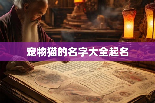 宠物猫的名字大全起名
