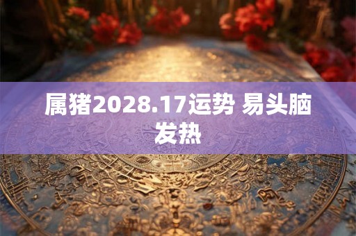 属猪2028.17运势 易头脑发热