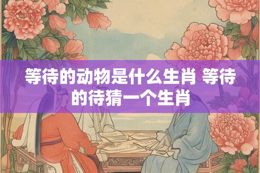 等待的动物是什么生肖 等待的待猜一个生肖