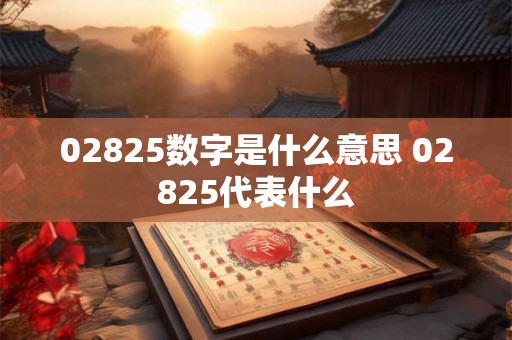 02825数字是什么意思 02825代表什么