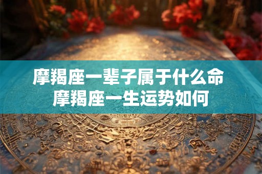 摩羯座一辈子属于什么命 摩羯座一生运势如何