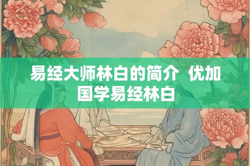 易经大师林白的简介  优加国学易经林白