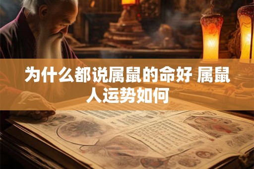 为什么都说属鼠的命好 属鼠人运势如何 为什么都说属鼠的命好 属鼠人运势如何