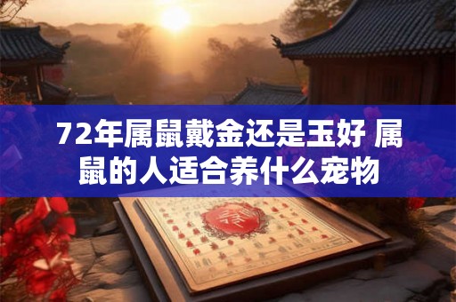 72年属鼠戴金还是玉好 属鼠的人适合养什么宠物