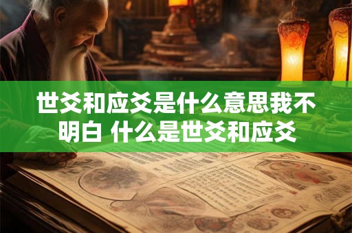 世爻和应爻是什么意思我不明白 什么是世爻和应爻 世爻和应爻是什么意思我不明白 什么是世爻和应爻