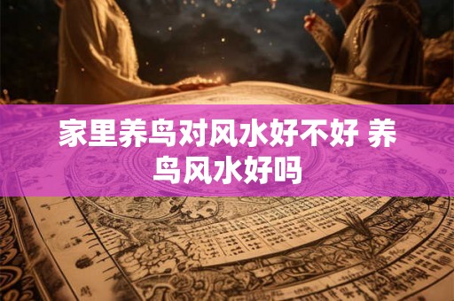 家里养鸟对风水好不好 养鸟风水好吗