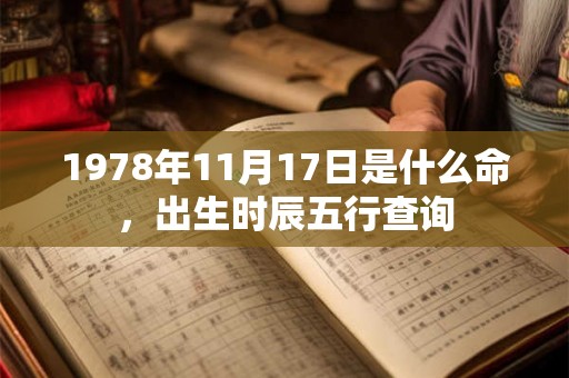1978年11月17日是什么命，出生时辰五行查询