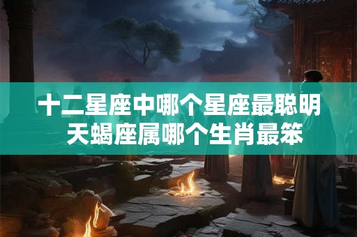 十二星座中哪个星座最聪明 天蝎座属哪个生肖最笨 十二星座中哪个星座最聪明 天蝎座属哪个生肖最笨