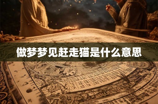 做梦梦见赶走猫是什么意思