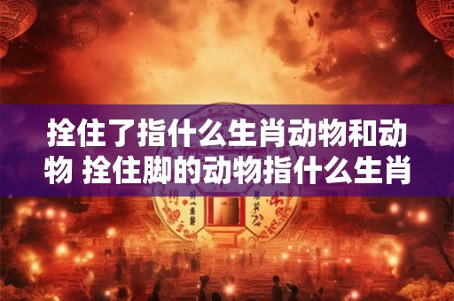 拴住了指什么生肖动物和动物 拴住脚的动物指什么生肖