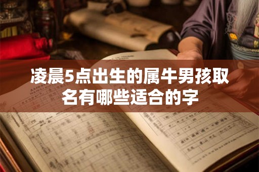 凌晨5点出生的属牛男孩取名有哪些适合的字