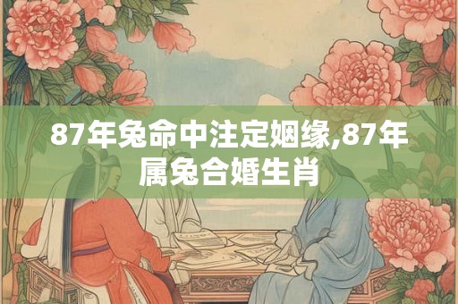 87年兔命中注定姻缘,87年属兔合婚生肖