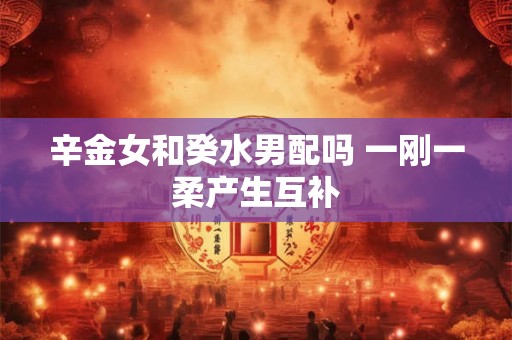 辛金女和癸水男配吗 一刚一柔产生互补