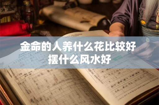 金命的人养什么花比较好 摆什么风水好