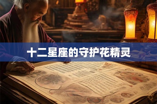 十二星座的守护花精灵