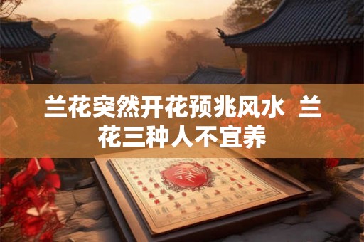 兰花突然开花预兆风水  兰花三种人不宜养