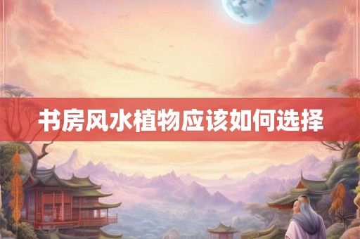书房风水植物应该如何选择