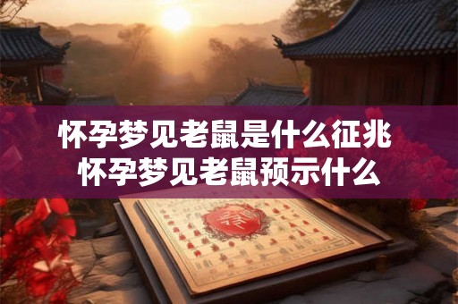 怀孕梦见老鼠是什么征兆 怀孕梦见老鼠预示什么